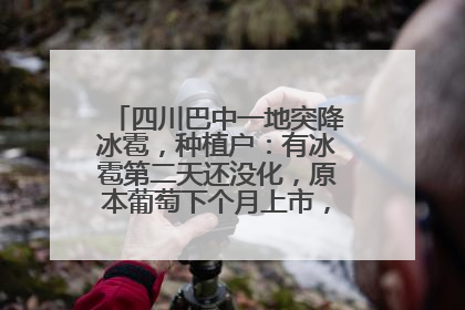 四川巴中一地突降冰雹，种植户：有冰雹第二天还没化，原本葡萄下个月上市，现在全被打落