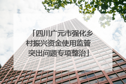 四川广元市强化乡村振兴资金使用监管突出问题专项整治