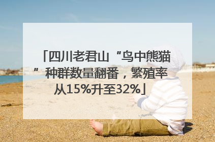 四川老君山“鸟中熊猫”种群数量翻番，繁殖率从15%升至32%