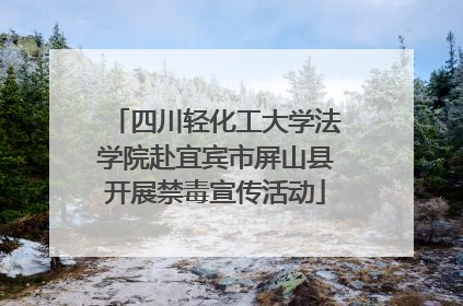 四川轻化工大学法学院赴宜宾市屏山县开展禁毒宣传活动