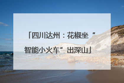 四川达州：花椒坐“智能小火车”出深山
