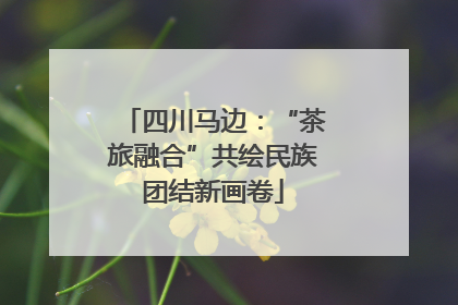 四川马边：“茶旅融合”共绘民族团结新画卷