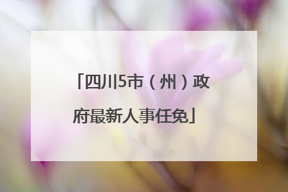 四川5市（州）政府最新人事任免