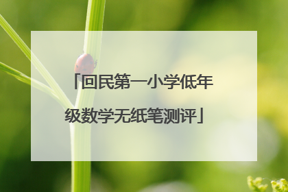 回民第一小学低年级数学无纸笔测评