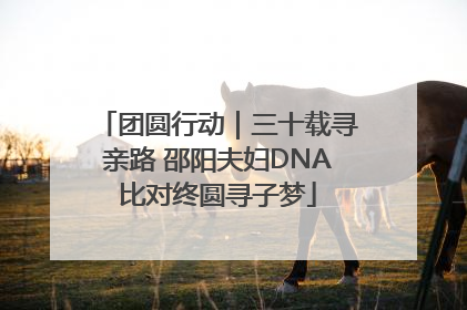 团圆行动｜三十载寻亲路 邵阳夫妇DNA比对终圆寻子梦