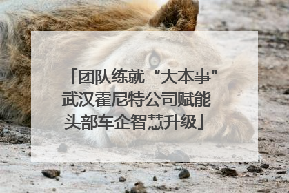 团队练就“大本事” 武汉霍尼特公司赋能头部车企智慧升级