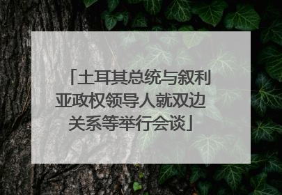 土耳其总统与叙利亚政权领导人就双边关系等举行会谈