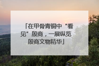 在甲骨青铜中“看见”殷商，一展纵览殷商文物精华