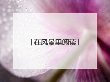 在风景里阅读
