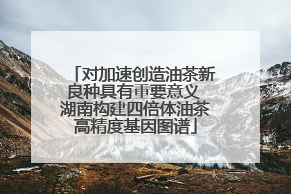对加速创造油茶新良种具有重要意义 湖南构建四倍体油茶高精度基因图谱