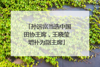 孙远富当选中国田协主席，王晓莹增补为副主席