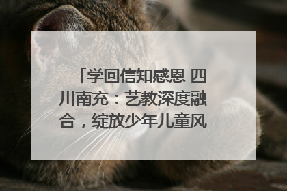 学回信知感恩 四川南充：艺教深度融合，绽放少年儿童风采｜您牵挂的四川