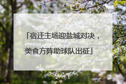 宿迁主场迎盐城对决，美食方阵助球队出征