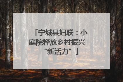 宁城县妇联：小庭院释放乡村振兴“新活力”