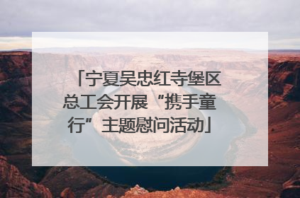 宁夏吴忠红寺堡区总工会开展“携手童行”主题慰问活动