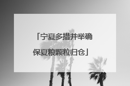 宁夏多措并举确保夏粮颗粒归仓