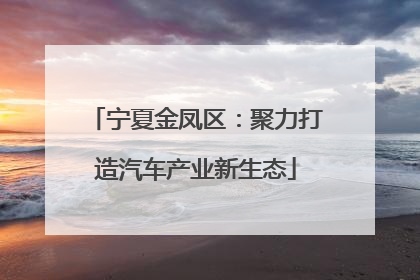 宁夏金凤区：聚力打造汽车产业新生态