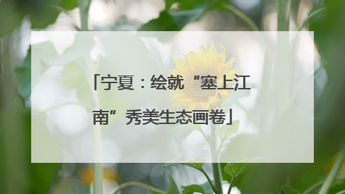 宁夏：绘就“塞上江南”秀美生态画卷
