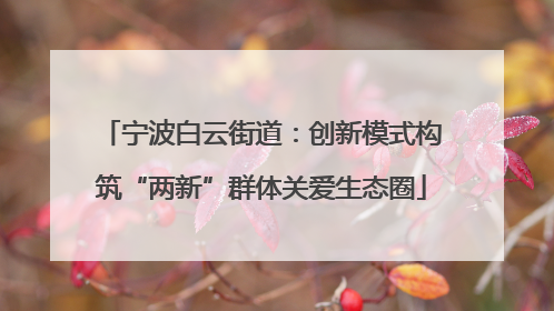 宁波白云街道：创新模式构筑“两新”群体关爱生态圈