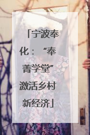 宁波奉化：“奉菁学堂”激活乡村新经济