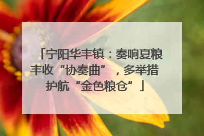 宁阳华丰镇：奏响夏粮丰收“协奏曲”，多举措护航“金色粮仓”