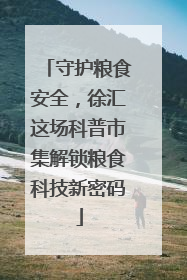 守护粮食安全，徐汇这场科普市集解锁粮食科技新密码