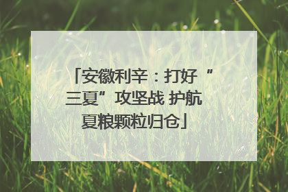 安徽利辛：打好“三夏”攻坚战 护航夏粮颗粒归仓