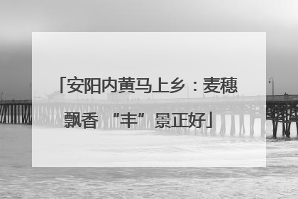 安阳内黄马上乡：麦穗飘香 “丰”景正好