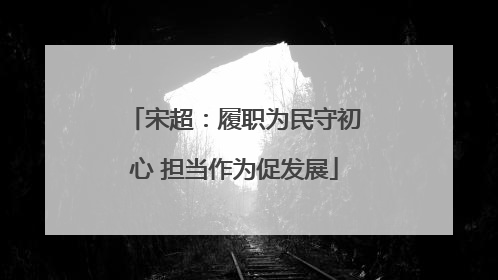 宋超：履职为民守初心 担当作为促发展