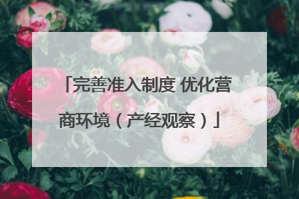 完善准入制度 优化营商环境（产经观察）