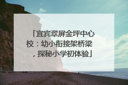 宜宾翠屏金坪中心校：幼小衔接架桥梁，探秘小学初体验
