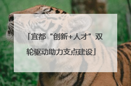 宜都“创新+人才”双轮驱动助力支点建设