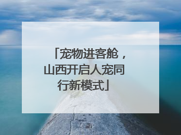 宠物进客舱，山西开启人宠同行新模式