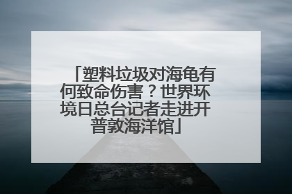 塑料垃圾对海龟有何致命伤害？世界环境日总台记者走进开普敦海洋馆