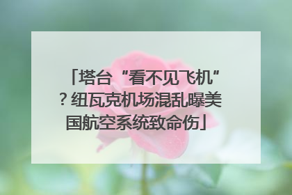 塔台“看不见飞机”？纽瓦克机场混乱曝美国航空系统致命伤