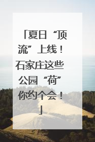 夏日“顶流”上线！石家庄这些公园“荷”你约个会！