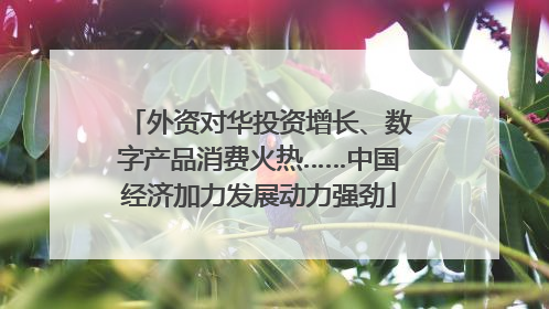 外资对华投资增长、数字产品消费火热……中国经济加力发展动力强劲
