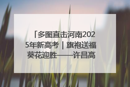 多图直击河南2025年新高考｜旗袍送福 葵花迎胜——许昌高考首日拉开帷幕