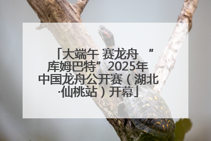 大端午 赛龙舟 “库姆巴特”2025年中国龙舟公开赛（湖北·仙桃站）开幕