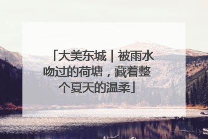 大美东城｜被雨水吻过的荷塘，藏着整个夏天的温柔