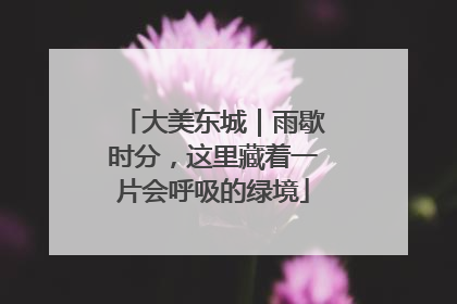 大美东城｜雨歇时分，这里藏着一片会呼吸的绿境