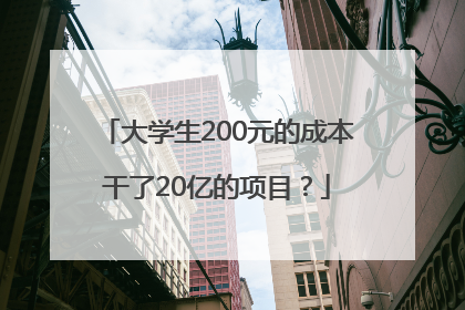 大学生200元的成本干了20亿的项目？