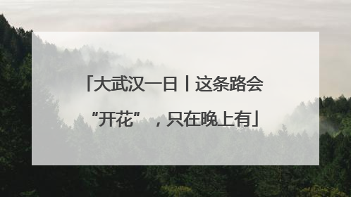 大武汉一日丨这条路会“开花”，只在晚上有