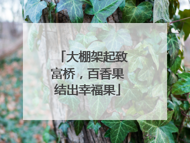 大棚架起致富桥，百香果结出幸福果