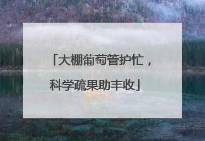 大棚葡萄管护忙，科学疏果助丰收