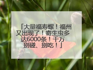大量福寿螺！福州又出现了！寄生虫多达6000条！千万别碰、别吃！