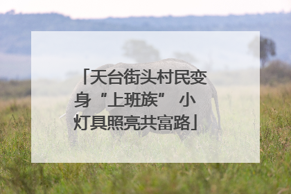 天台街头村民变身“上班族” 小灯具照亮共富路