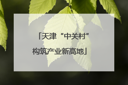 天津“中关村”构筑产业新高地