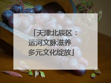 天津北辰区：运河文脉滋养 多元文化绽放