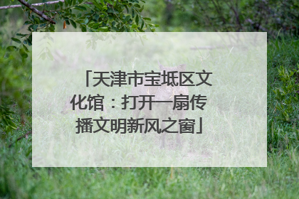 天津市宝坻区文化馆：打开一扇传播文明新风之窗